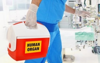 A medically gloved hand of a man carries a life saving human organ in a cooler to a patient in great need. After an organ transplant you'll have good success with dental implants.
