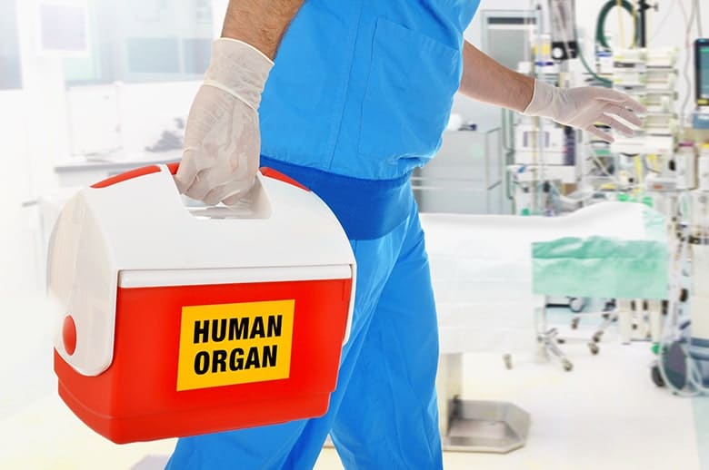 A medically gloved hand of a man carries a life saving human organ in a cooler to a patient in great need. After an organ transplant you'll have good success with dental implants. 